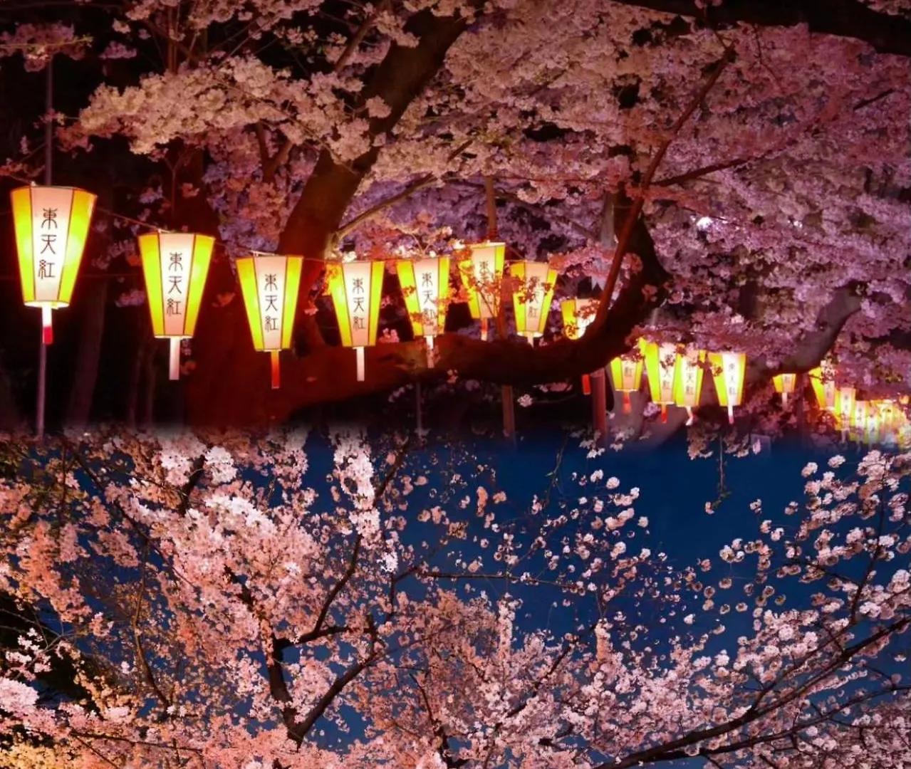 아파트호텔 Ueno Iriya Hotel 도쿄