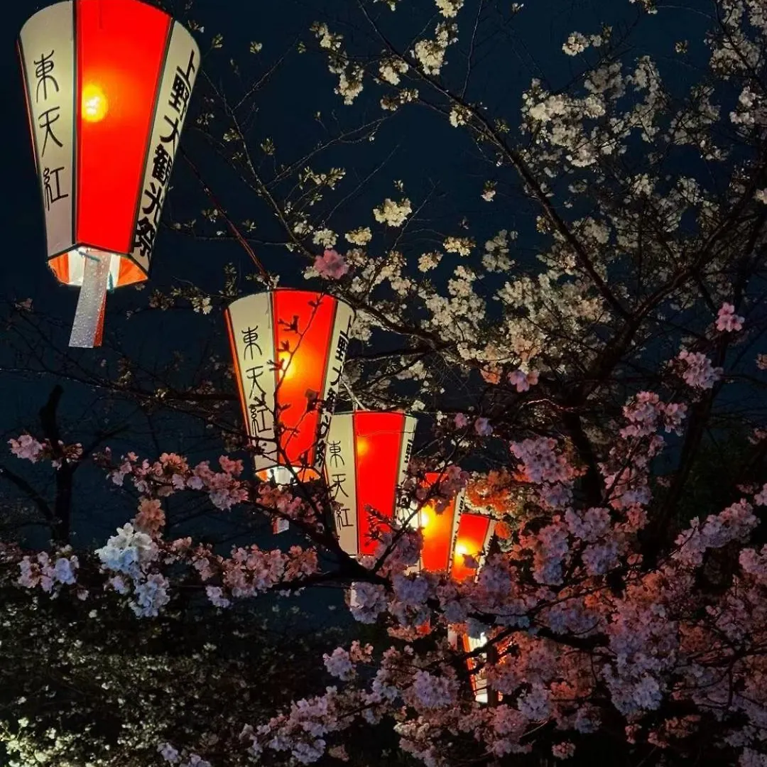 Ueno Iriya Hotel Prefektura Tokio 0*,  Japonsko
